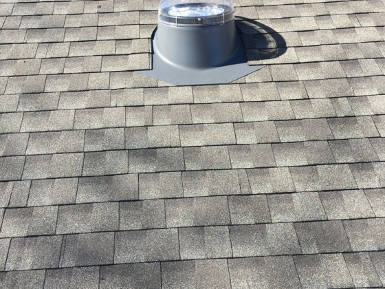 Presidential Roofing Expert Roofing