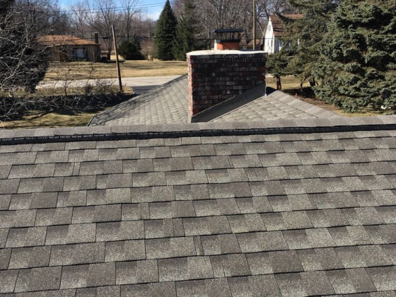 Expert Roofing Presidential Roofing Niles Inc.