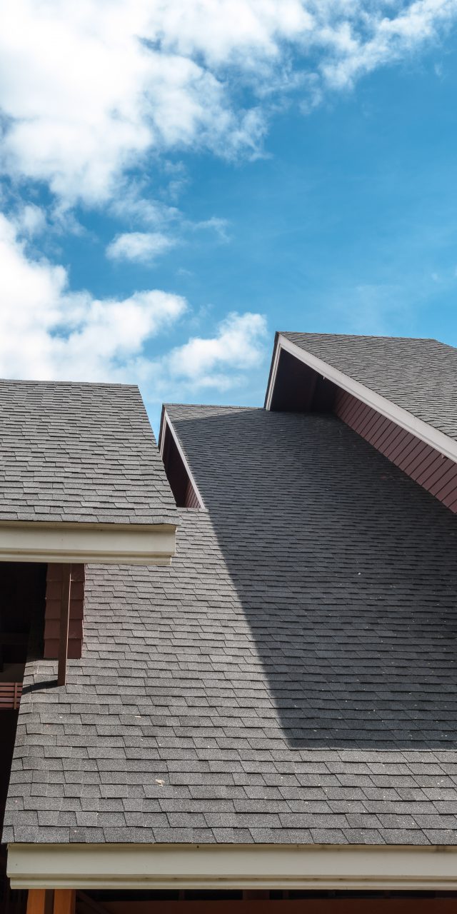 Roofer Roofing Company